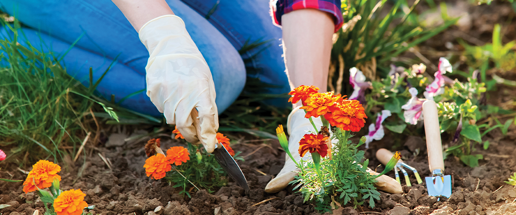 7 Tips for Gardening Without Pain
